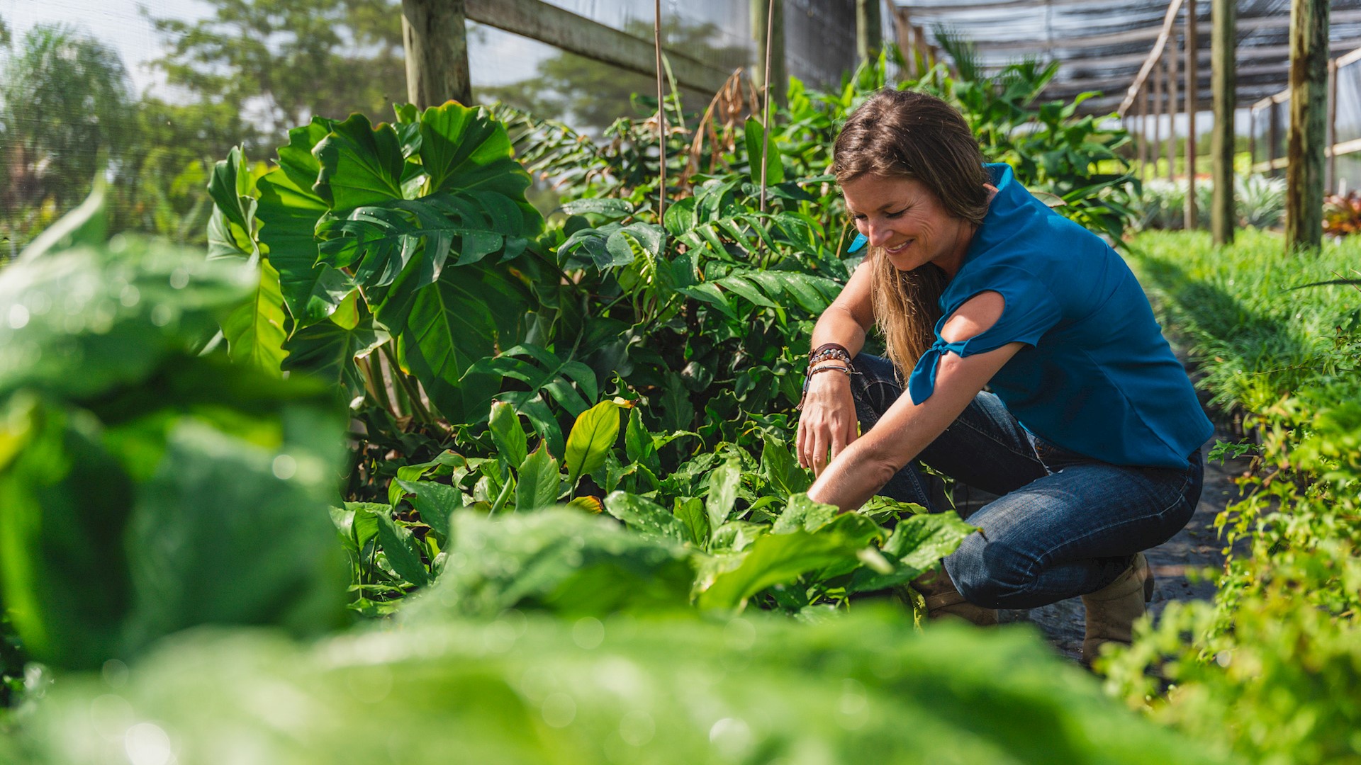 blonde woman in nursery tending to plants