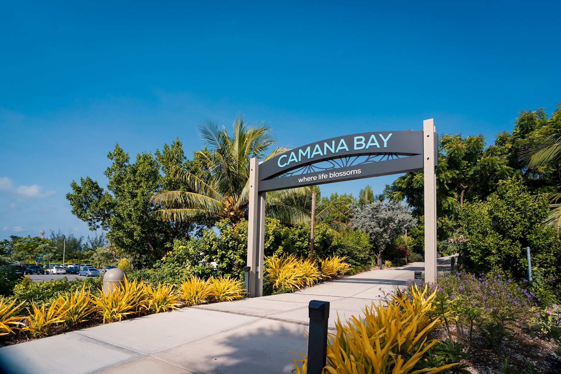 Camana Bay